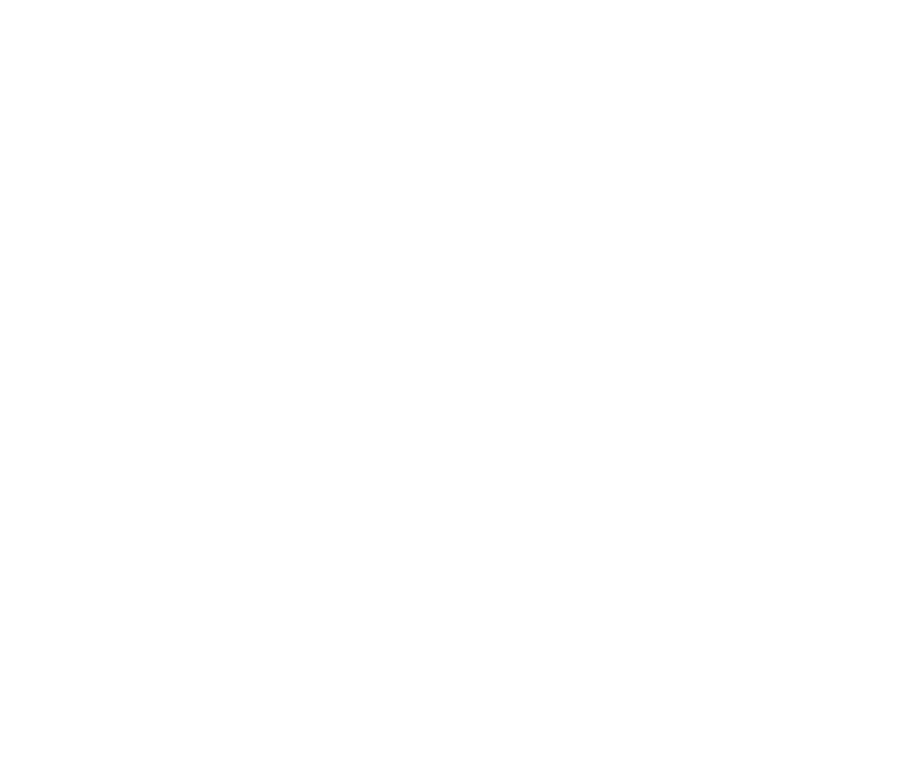 Steph Virtual Assistant